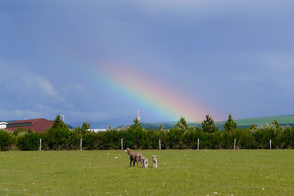 Accenno di arcobaleno largo sulla fattoria con animali