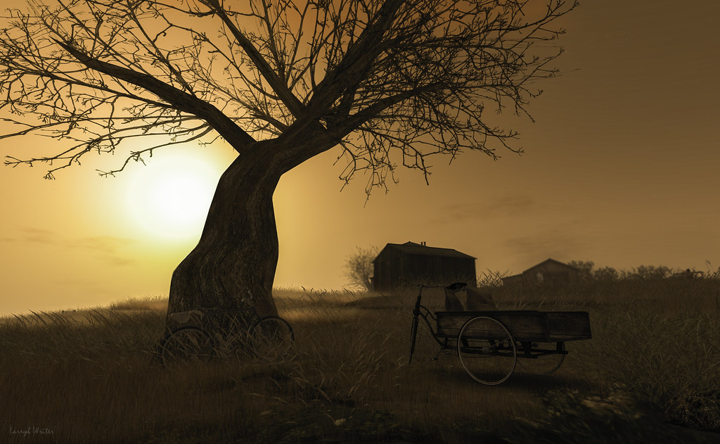 Albero che suscita emozioni tristi al tramonto