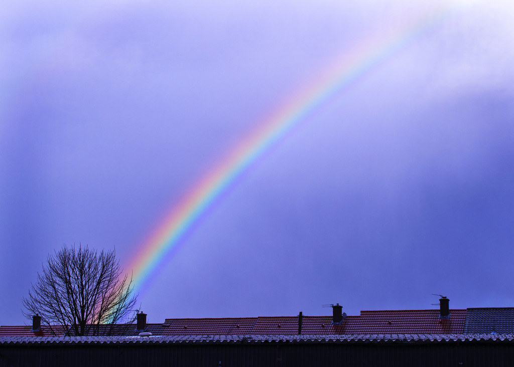 Arcobaleno che sembra delinearsi a partire da piccolo albero