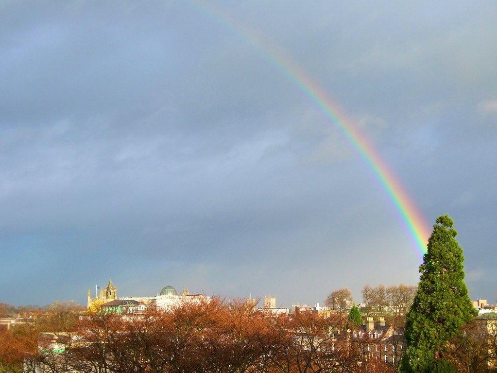 Arcobaleno che sembra nascere da cima di albero