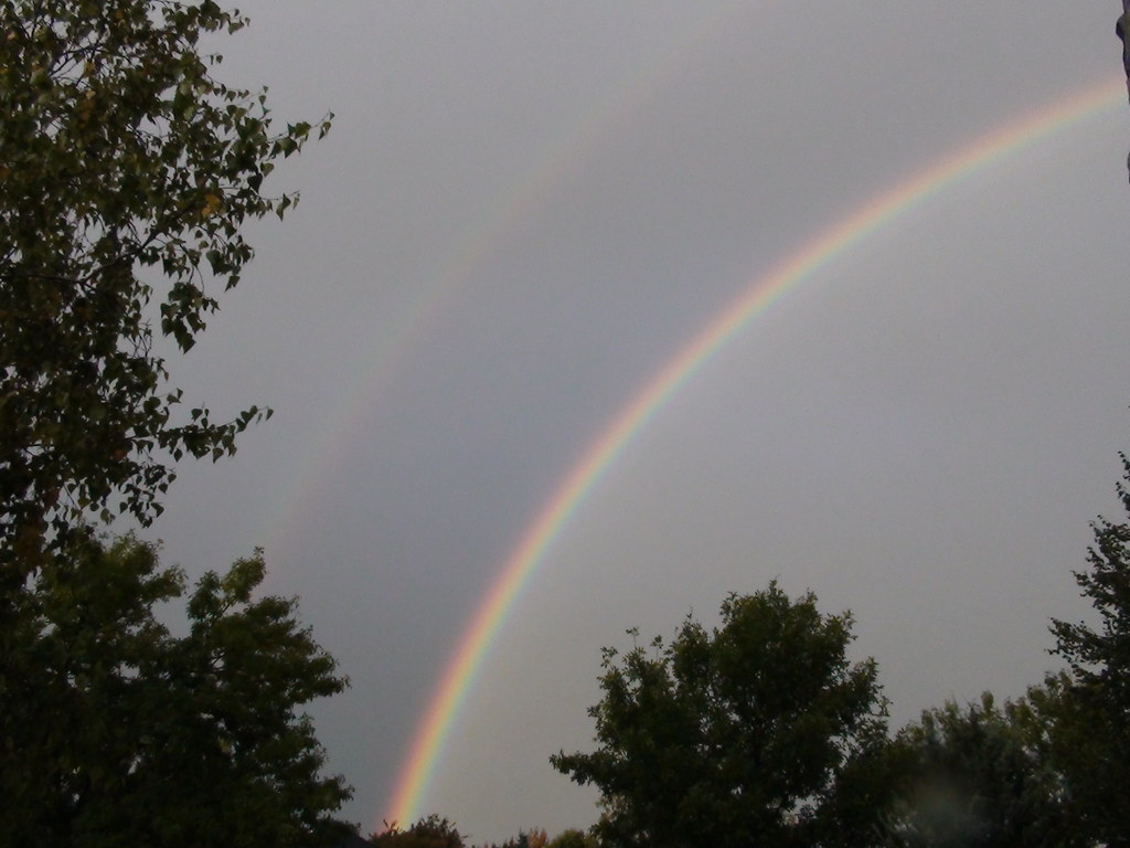 Arcobaleno incorniciato da alberi al calare del giorno