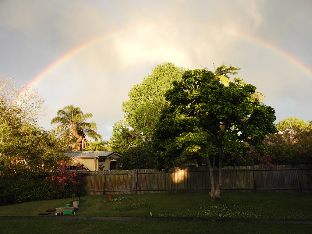 Arcobaleno sopra alberi belli di proprietà privata