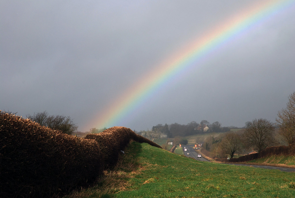 Arcobaleno su bel prato in zona di campagna