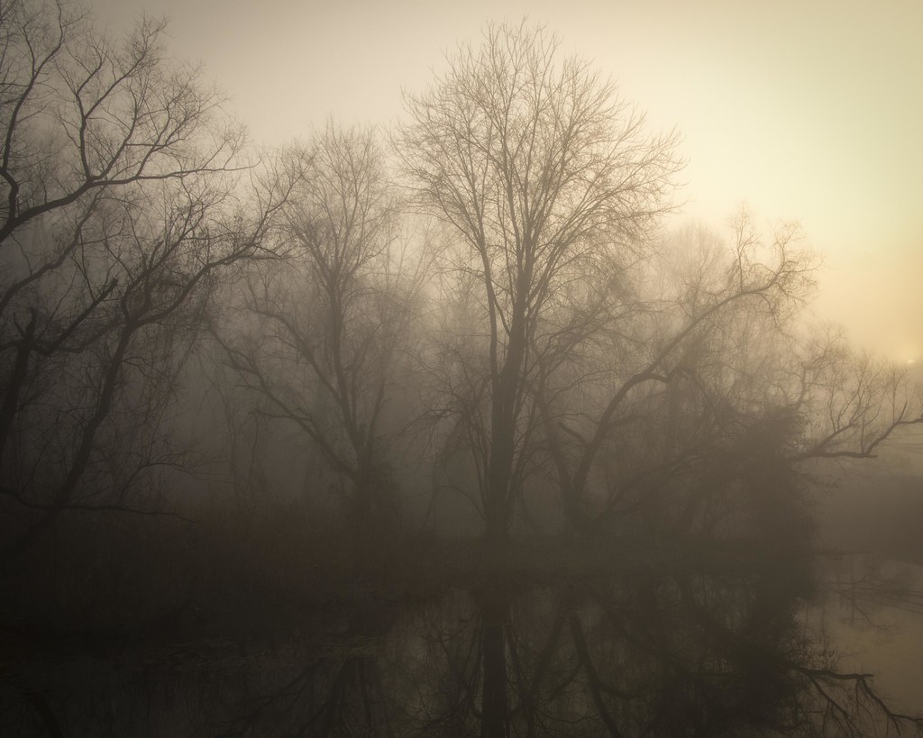 Atmosfera macabra in bellissimo paesaggio con alberi spettrali