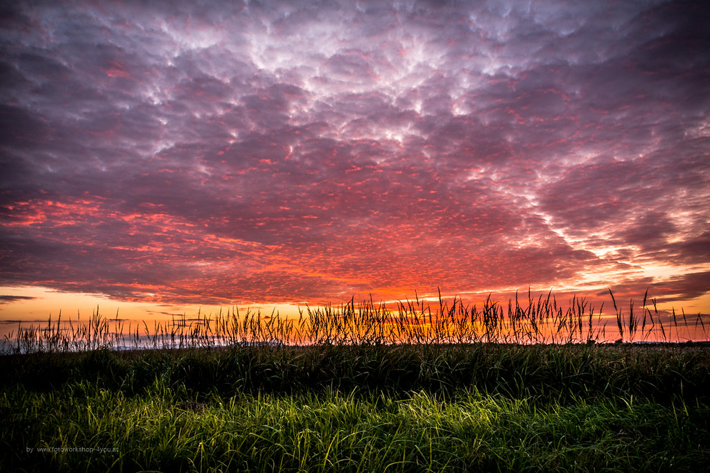 Bellissimo paesaggio rurale al tramonto