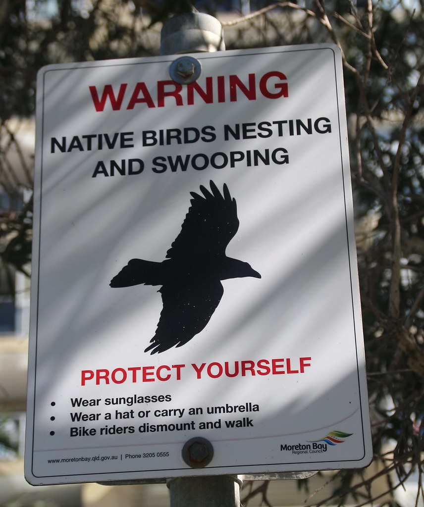 Cartello pericolo per le persone a causa di uccelli che nidificano e fanno incursioni