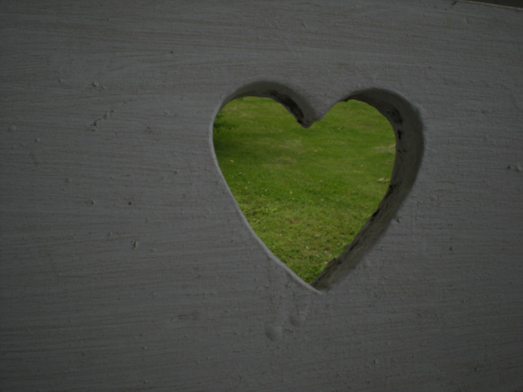 Cuore su prato verde ricavato in schienale di panchina