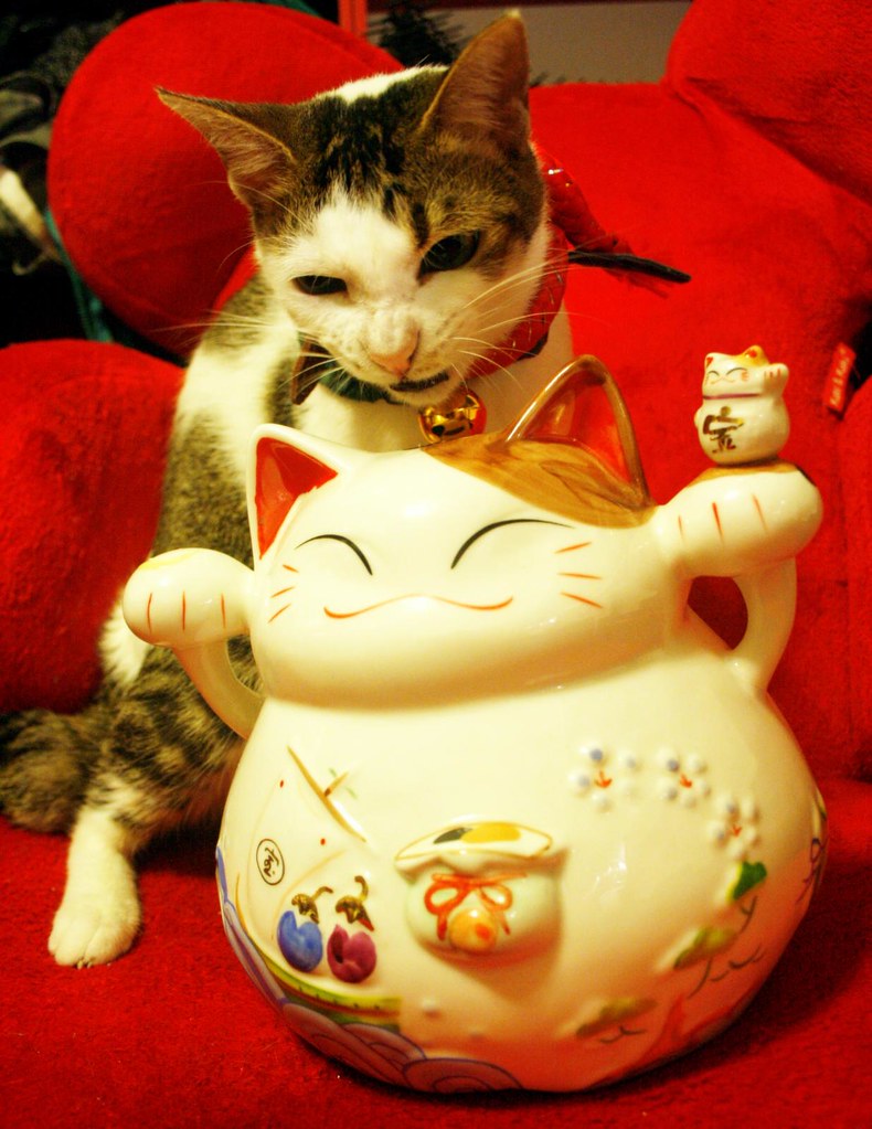 Dolce gattino su un simpatico gatto di porcellana
