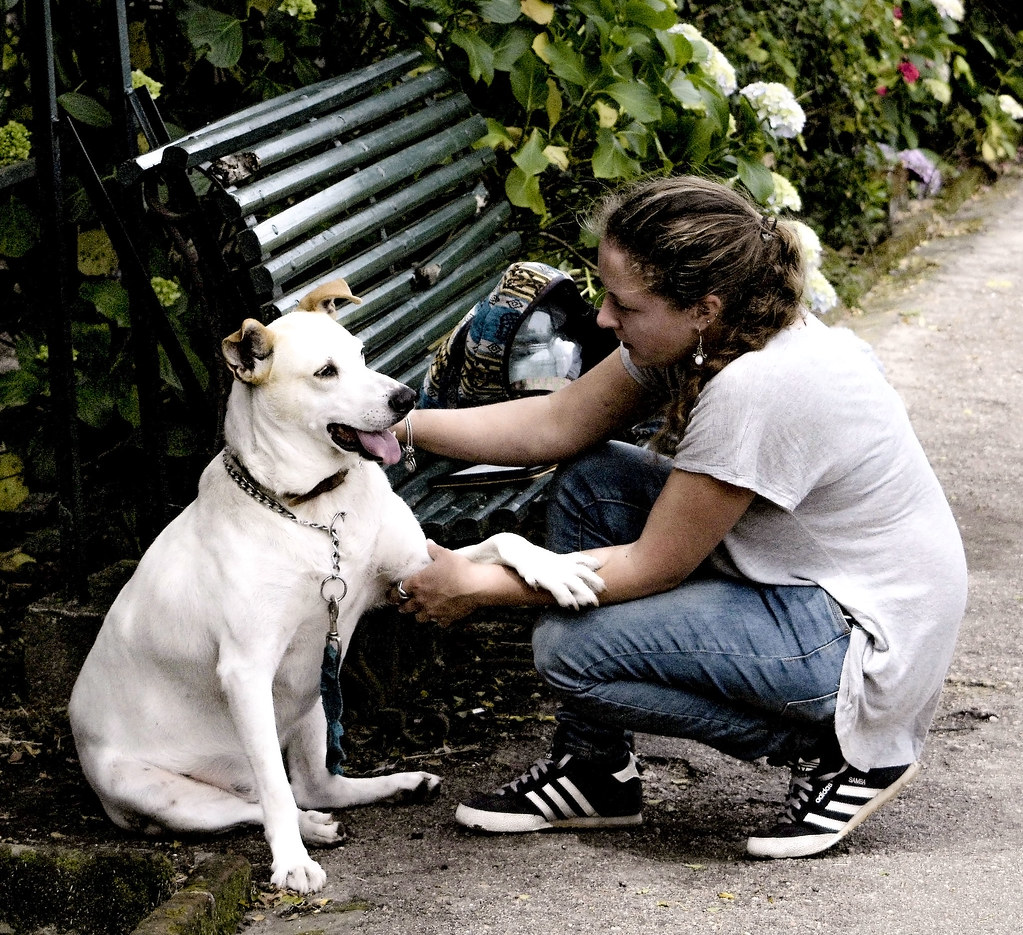 Donna che coccola un bel cane bianco nel parco