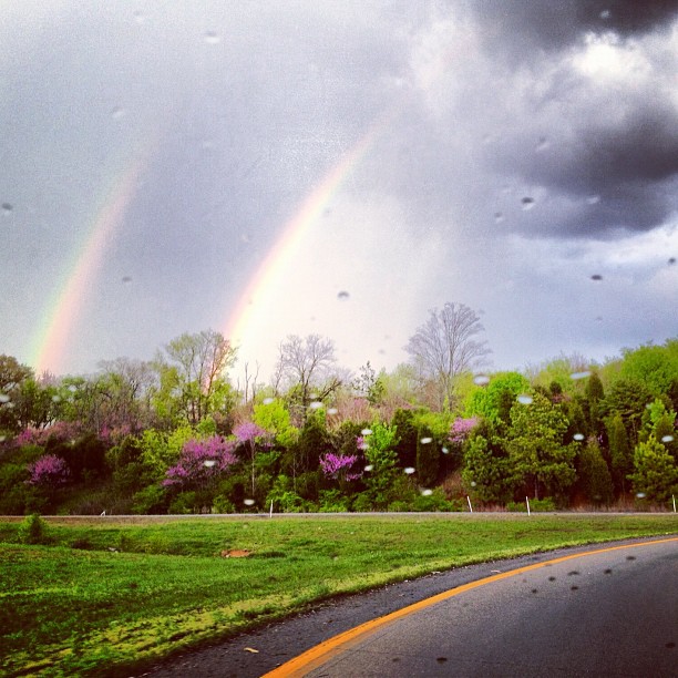 Doppio arcobaleno sopra parco con alberi e piante verdi e fucsia