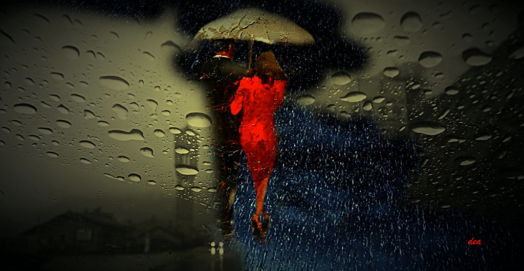 Due anime sotto un ombrello in una giornata piovosa