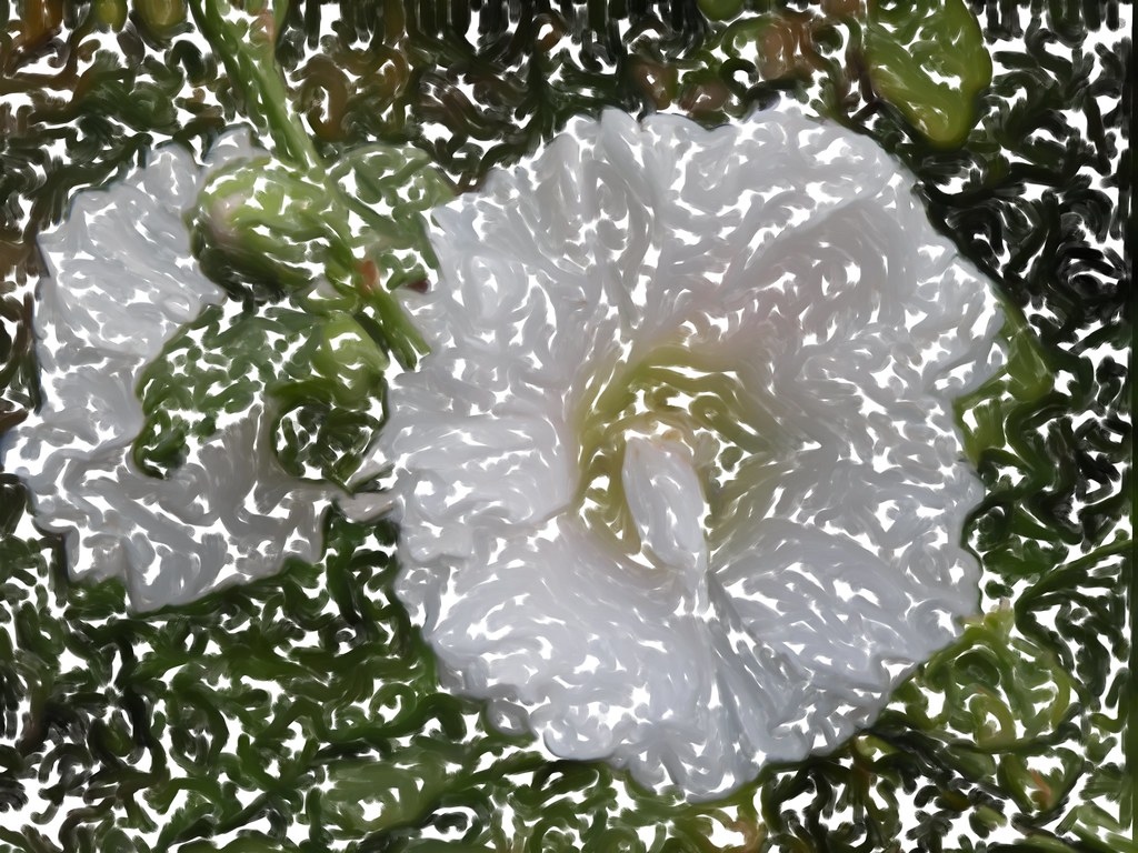 Fiori bianchi di alcea tra moltitudine di chiazze bianche in aria
