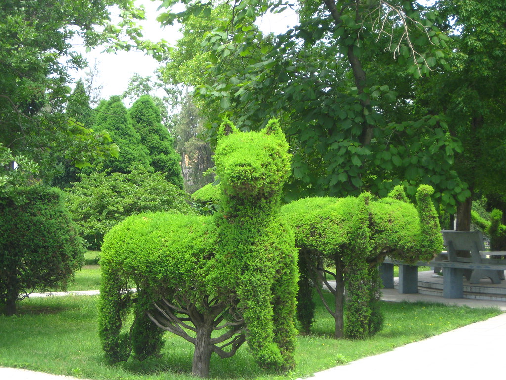 Gatto ed elefante realizzati con foglie in un parco cinese