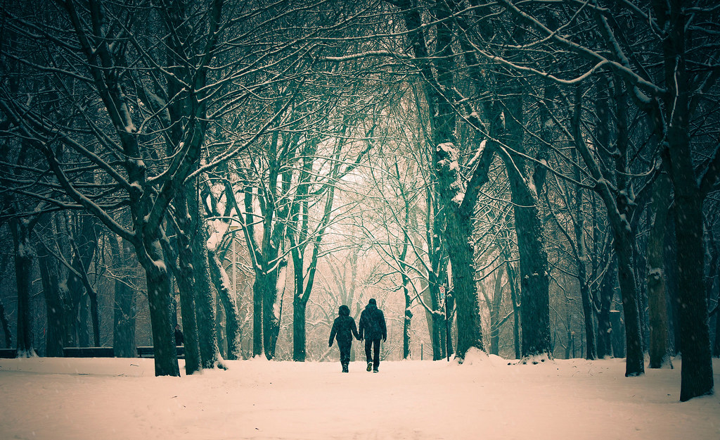 Innamorati che passeggiano mano nella mano sulla dolce neve