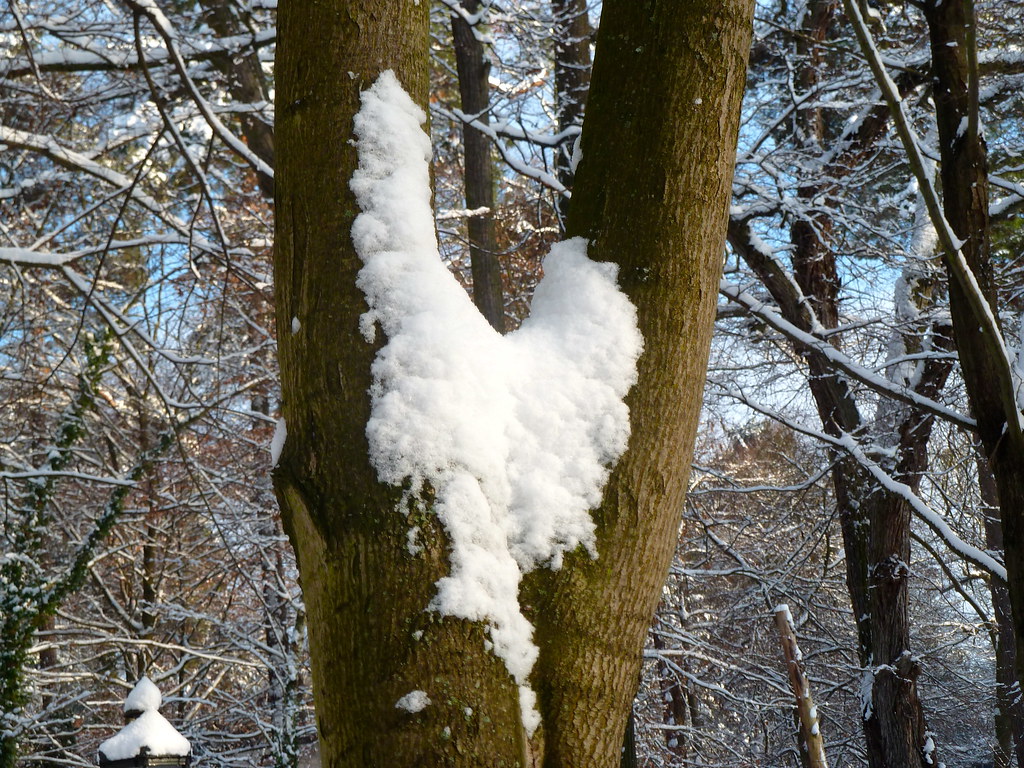 Neve a forma di cuore in mezzo ad albero