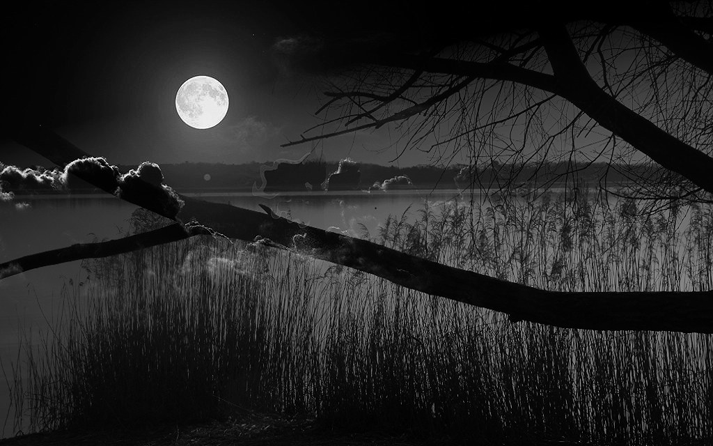 Notte romantica sotto la luce della luna piena