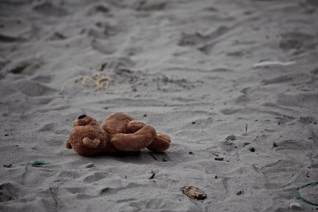 Orsetto tristemente abbandonato sulla spiaggia