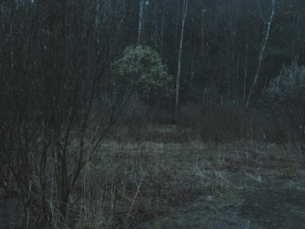 Paesaggio di campagna davvero molto triste e oscuro