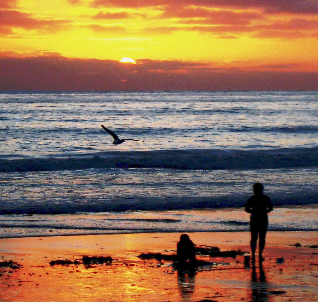 Paesaggio marino romantico con gabbiano al tramonto