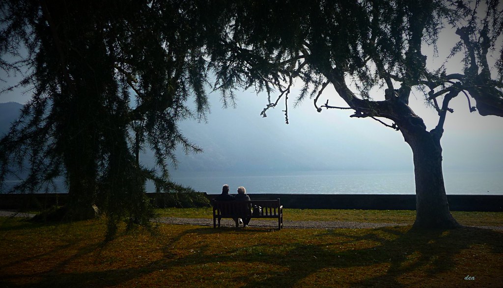 Panchina con vista romantica sul lago tra alberi belli