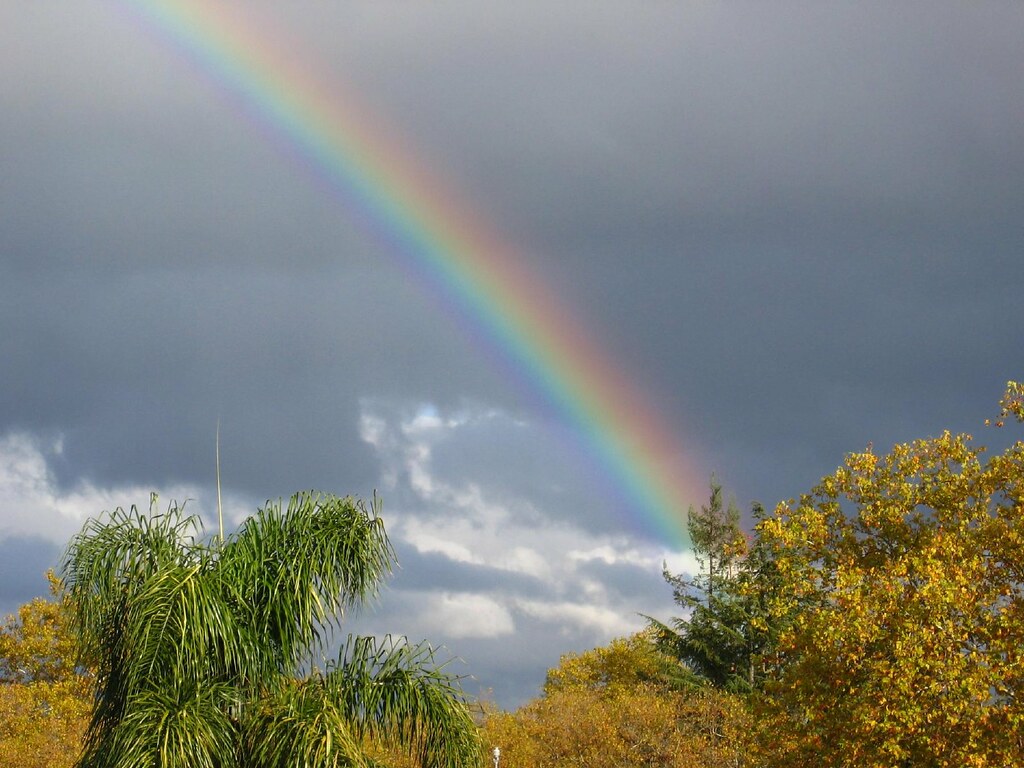 Pezzo di arcobaleno che parte in basso da alberi di diverso verde