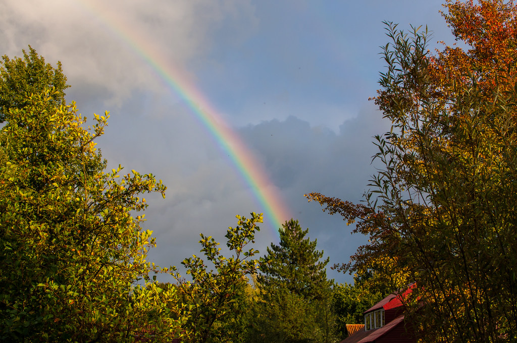 Porzione di arcobaleno che sale in cielo a partire da alberi