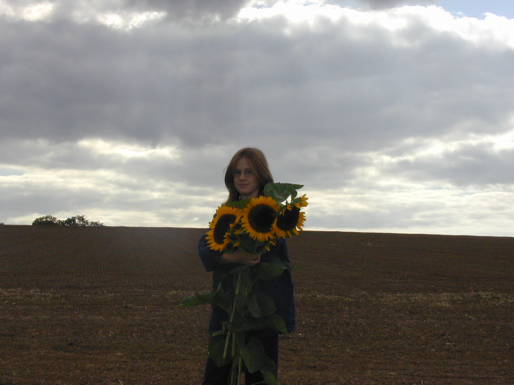 Ragazza che tiene alcuni girasoli tra le mani