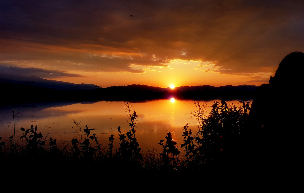 Tramonto fantastico sul lago scontornato da piante