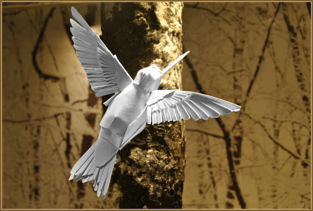 Uccello di carta della famiglia Trochilidi con ali spiegate
