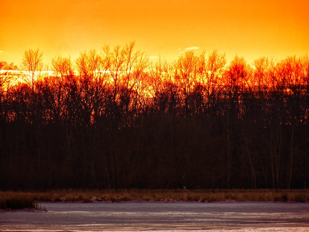 Colpa corno cova fantasma fucile giornata incontro mente 4