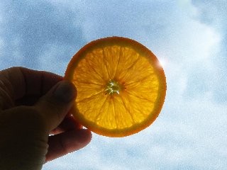 limone in trasparenza verso il cielo