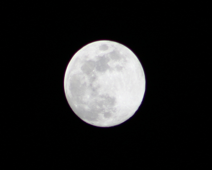 Stanotte non sarai sola perchè veglierà su di te la luna