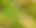 immagini/mini/in-nessun-luogo-e-in-nessun-istante.jpg