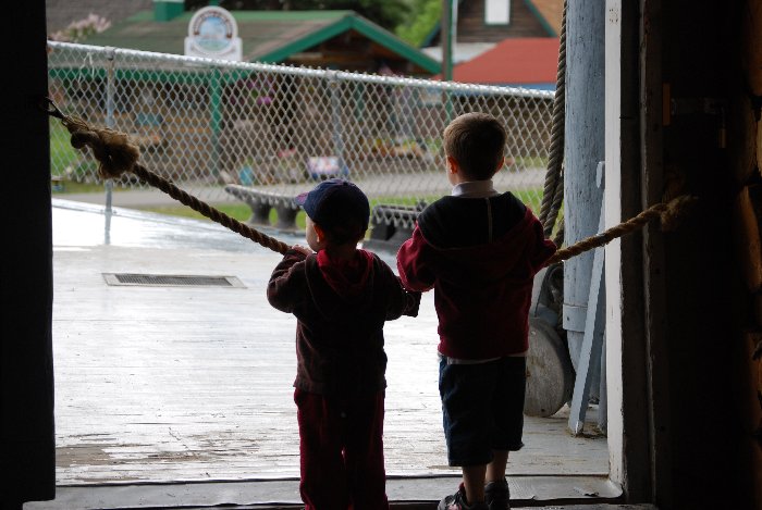 piccoli amici che osservano