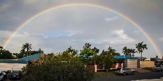 Arcobaleno intero su città con palme