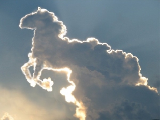 Bellissima nuvola a forma di cavallo che si erge verso il cielo