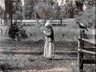 Donna in campo che suscita malinconia