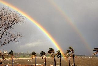 Doppio arcobaleno sopra palme mosse dal vento impetuoso