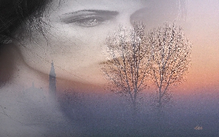 Pensieri romantici tra la nebbia
