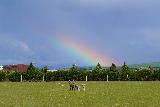 Immagine fattoria Accenno di arcobaleno largo sulla fattoria con animali