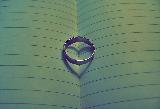Immagine anello Anello tra pagine di libro che proietta cuore come ombra