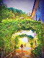 Archi di verde in Andalusia sotto cui passeggiare