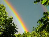 Immagine arcobaleno Arcobaleno ben definito che ha origine dagli alberi