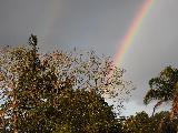Immagine arcobaleno Arcobaleno che fuoriesce da alberelli e cespugli