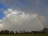 Immagine schiarita Arcobaleno che parte dal boschetto verso cielo in schiarita