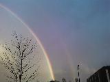 Immagine arcobaleno Arcobaleno che sembra confinare albero secco