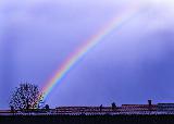 Immagine arcobaleno Arcobaleno che sembra delinearsi a partire da piccolo albero