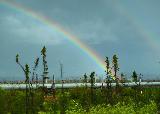 Arcobaleno che sembra innalzarsi da erba