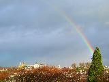 Immagine arcobaleno Arcobaleno che sembra nascere da cima di albero