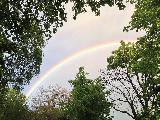 Arcobaleno che si confonde tra gli alberi seguendo una diagonale